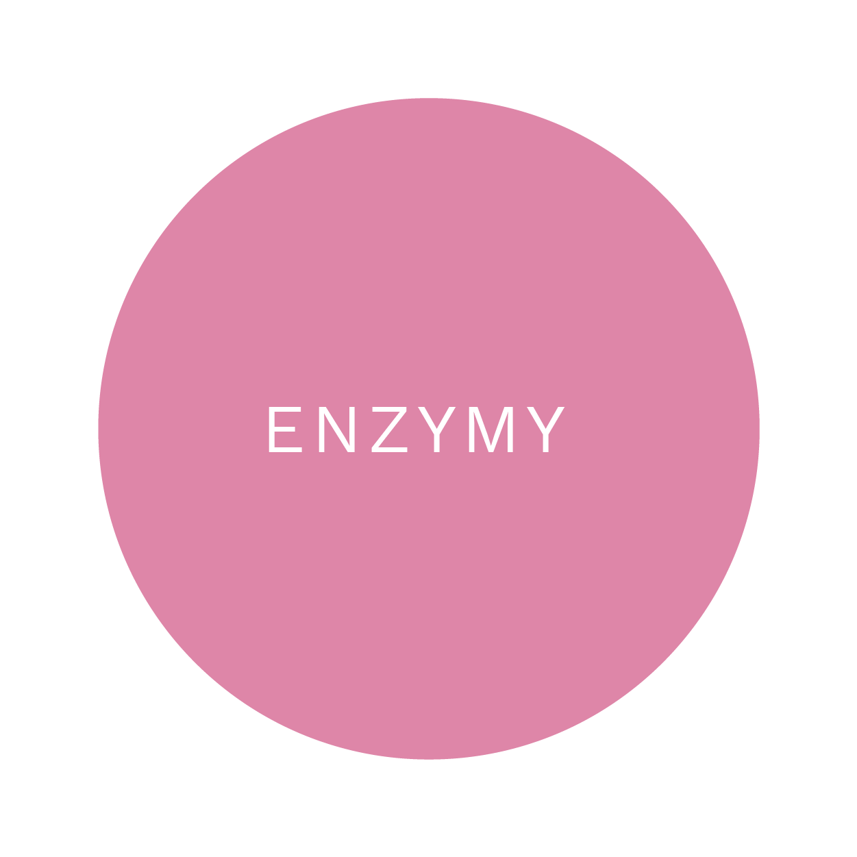 Enzymy